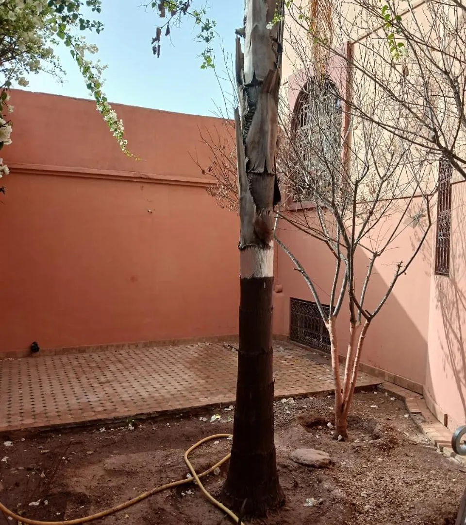 Villa Mima Marrakesh Morocco