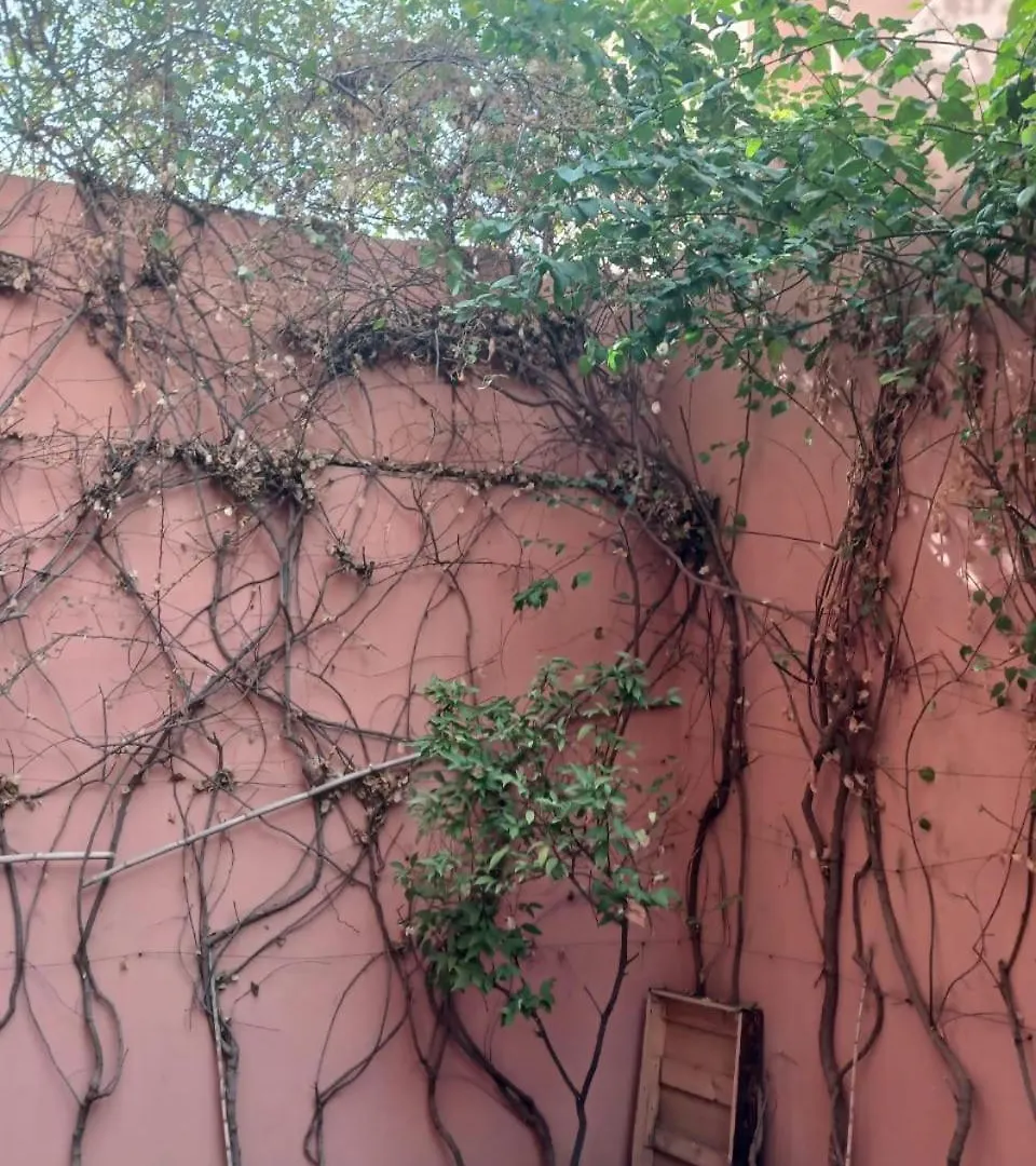Villa Mima Marrakesh Homestay